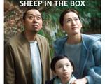 C:\fakepath\sheep_in_the_box.jpg
